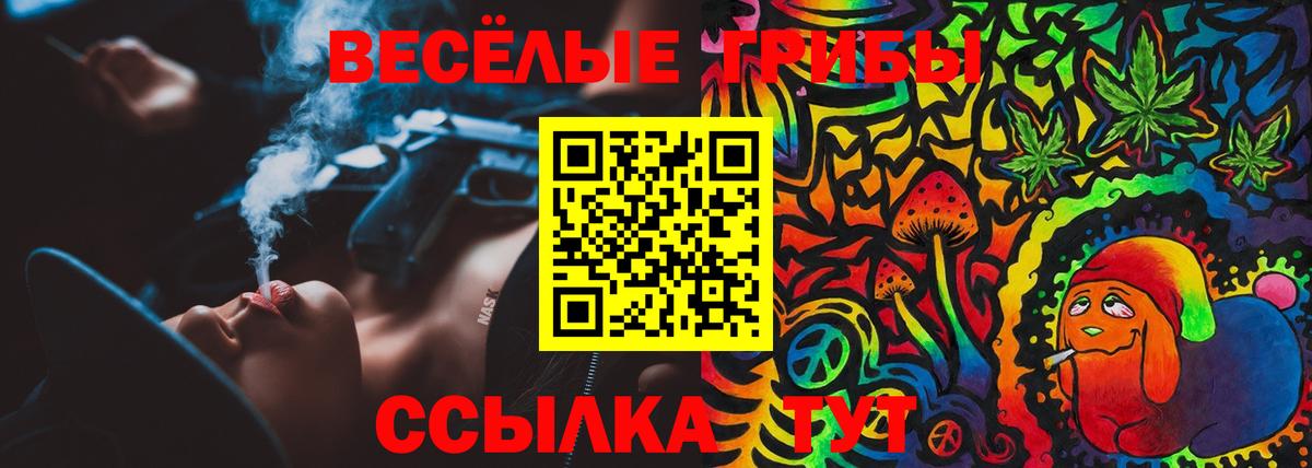 Гатчина  Псилоцибиновые грибы ЛСД  Вход с VPN  Галлюциногенные грибы Cubensis 